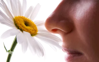 حس بویایی قبل و بعد از جراحی بینی؛ نفهمیدن بو بعد از جراحی بینی